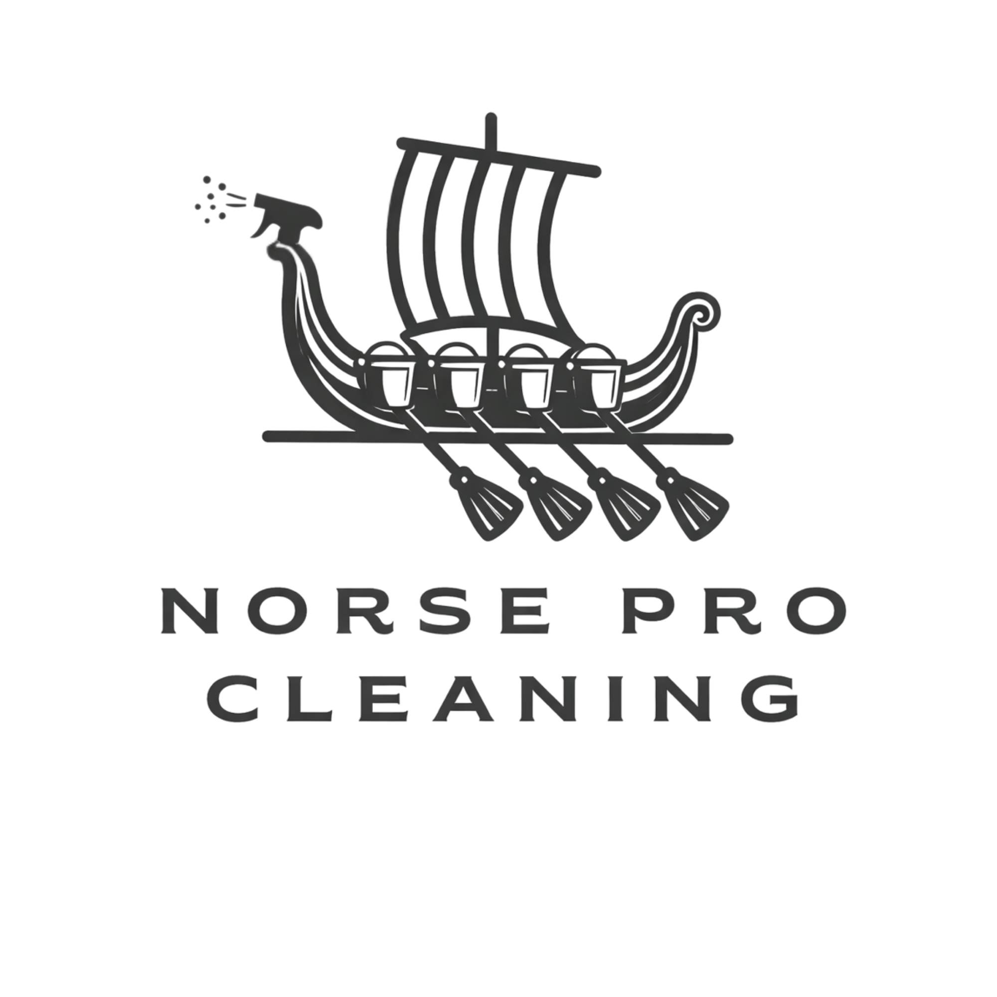 Norse Pro Cleaning